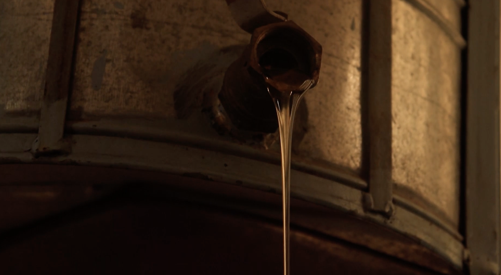 Beekeeping documentary, scene 1