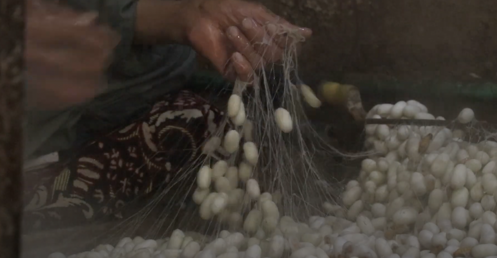 Silk cocoons and threads, scene 3
