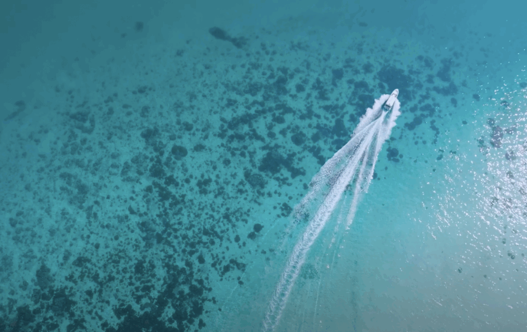 farasan islands, jazan, saudi arabia