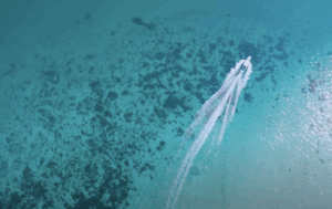 farasan islands, jazan, saudi arabia